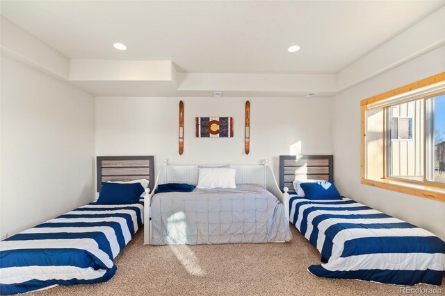 270 Piaute Way, Como, CO 80432 - bedroom with carpet and recessed lighting