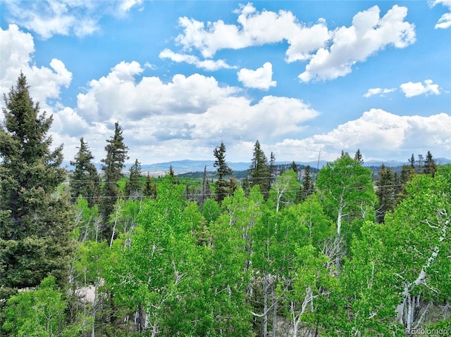 270 Piaute Way, Como, CO 80432 - view of undeveloped land featuring a mountainous background