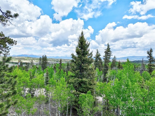 270 Piaute Way, Como, CO 80432 - view of undeveloped land featuring mountains