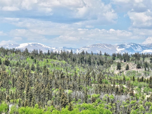 270 Piaute Way, Como, CO 80432 - view of mountain background with a forest