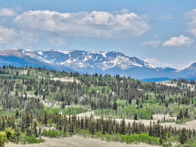 270 Piaute Way, Como, CO 80432 - view of mountain backdrop featuring a heavily wooded area