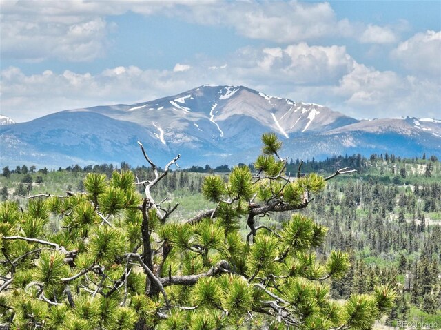270 Piaute Way, Como, CO 80432 - view of mountain backdrop