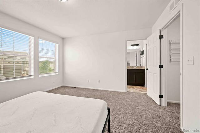 10071 Yampa Ct, Commerce City, CO 80022 - photo 11