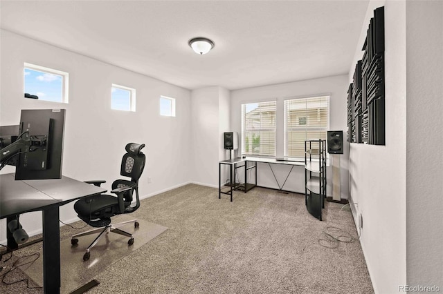 10071 Yampa Ct, Commerce City, CO 80022 - photo 13
