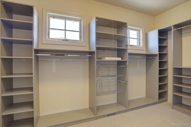 14993 W 55th Dr, Golden, CO 80403 - walk in closet with carpet floors