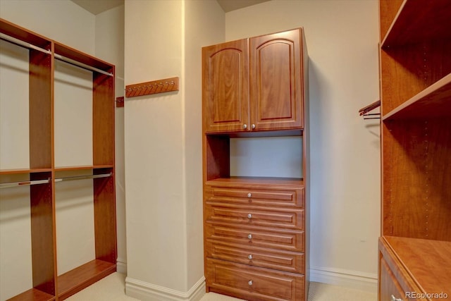 14993 W 55th Dr, Golden, CO 80403 - walk in closet with elevator