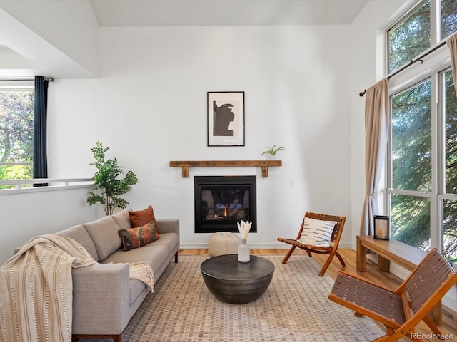 10057 S Shadow Hill Dr, Lone Tree, CO 80124 - living area featuring plenty of natural light, a glass covered fireplace, baseboards, and wood finished floors
