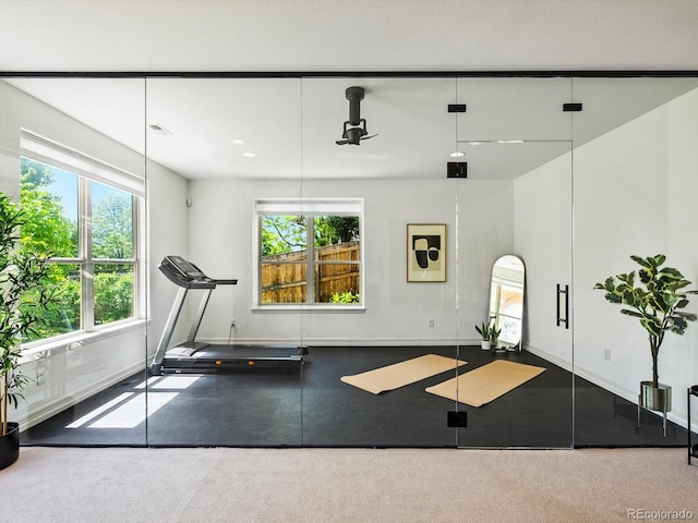 10057 S Shadow Hill Dr, Lone Tree, CO 80124 - exercise room with baseboards and carpet