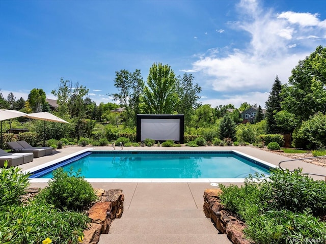 10057 S Shadow Hill Dr, Lone Tree, CO 80124 - swimming pool with a patio