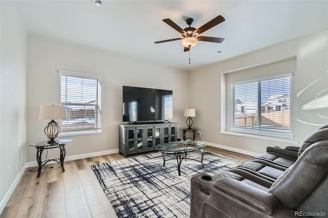 living room with ceiling fan and light hardwood / wood-style floors