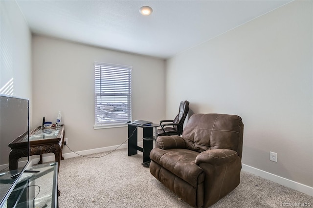 sitting room with carpet floors