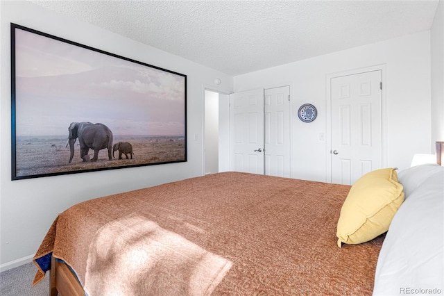 carpeted bedroom with a textured ceiling and multiple closets