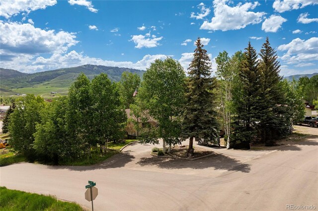 295 Selak Dr, Granby, CO 80446 - photo 3