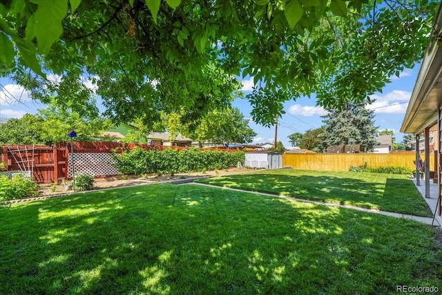 2069 E 116th Ave, Northglenn, CO 80233 - fenced backyard featuring a shed