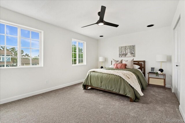 11021 Otis St, Westminster, CO 80020 - bedroom with baseboards, carpet flooring, and ceiling fan