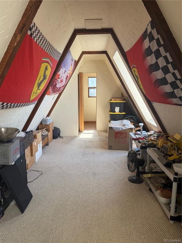 274 Lincoln Dr, Idaho Springs, CO 80452 - bonus room featuring lofted ceiling, carpet floors, a skylight, and a textured wall