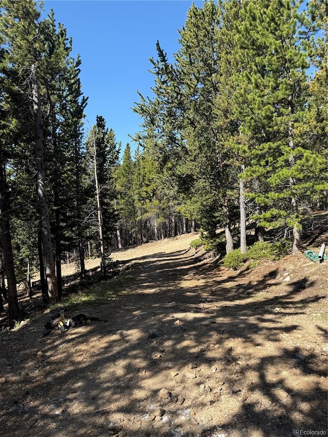 274 Lincoln Dr, Idaho Springs, CO 80452 - view of road with a view of trees