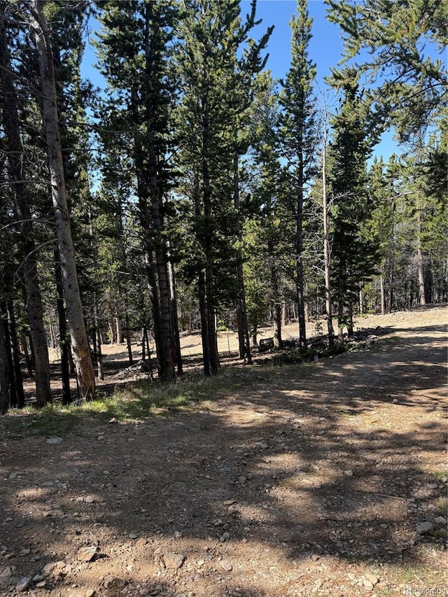 274 Lincoln Dr, Idaho Springs, CO 80452 - view of tree filled area