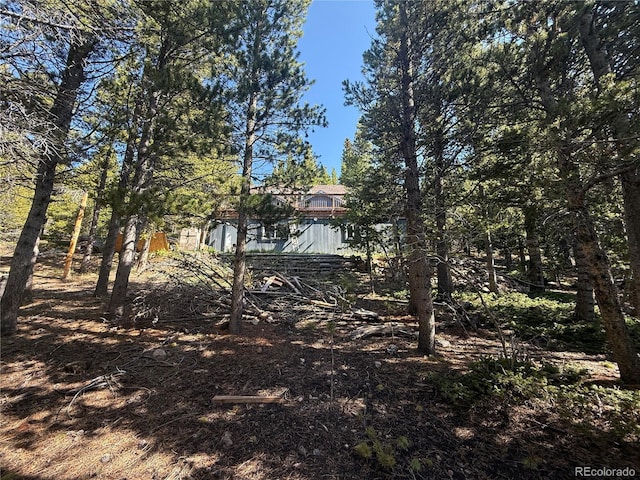 274 Lincoln Dr, Idaho Springs, CO 80452 - view of yard