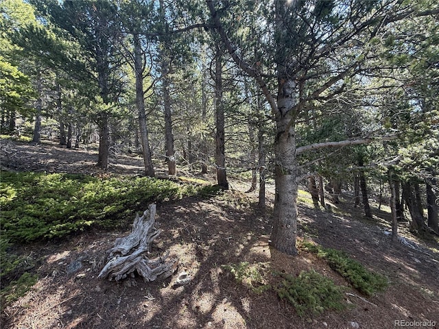 274 Lincoln Dr, Idaho Springs, CO 80452 - view of undeveloped land