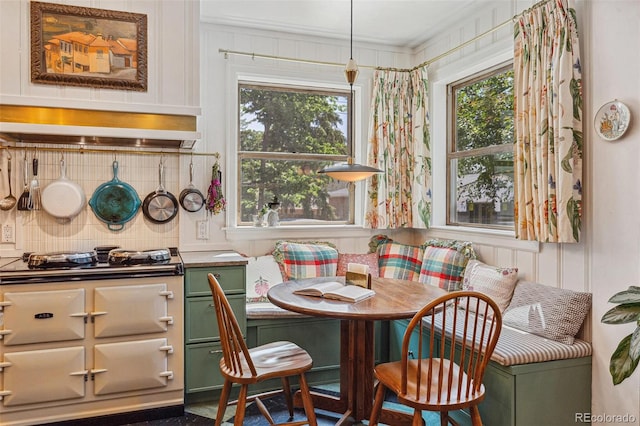 2324 S Columbine St, Denver, CO 80210 - dining area featuring ornamental molding, plenty of natural light, breakfast area, and a decorative wall