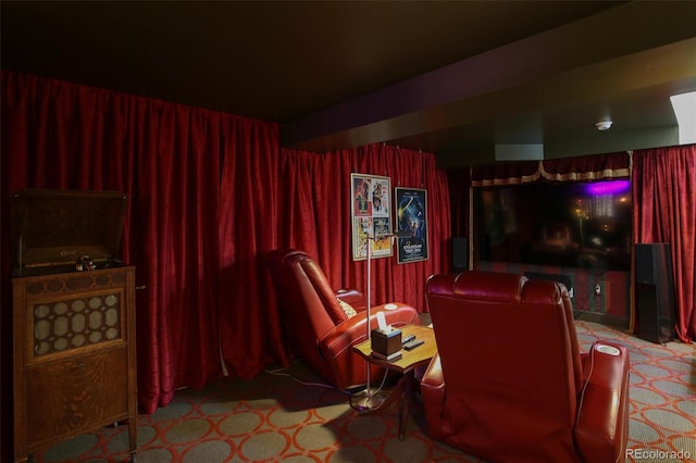 2324 S Columbine St, Denver, CO 80210 - view of cinema