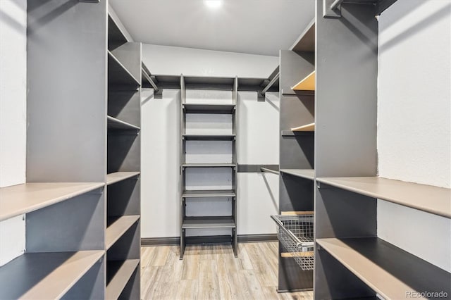 spacious closet featuring light wood-style flooring