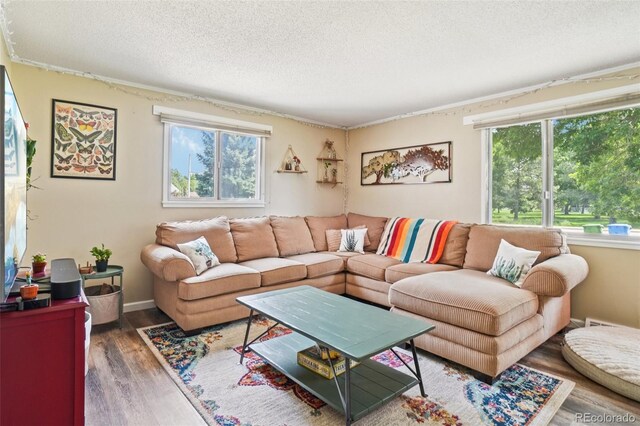 1213 S Taft Hill Rd, Fort Collins, CO 80521 - living area with a textured ceiling and wood finished floors