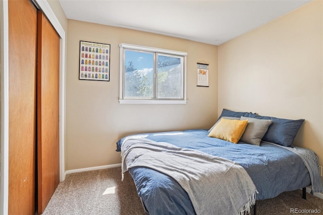 1213 S Taft Hill Rd, Fort Collins, CO 80521 - bedroom featuring carpet flooring and a closet