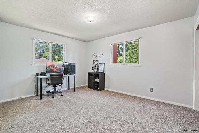 1213 S Taft Hill Rd, Fort Collins, CO 80521 - carpeted office space featuring plenty of natural light and a textured ceiling
