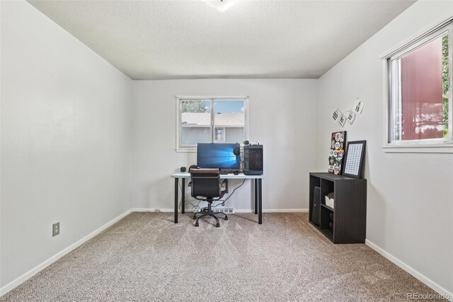 1213 S Taft Hill Rd, Fort Collins, CO 80521 - office area with carpet and a textured ceiling