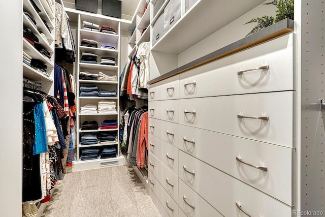 2159 Bellcove Dr, Castle Pines, CO 80108 - walk in closet with carpet floors