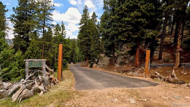 31320 Timothys Trl, Conifer, CO 80433 - photo 4