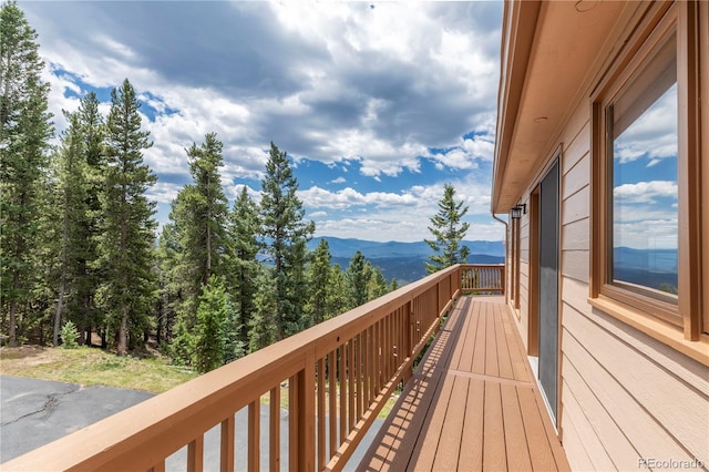 31320 Timothys Trl, Conifer, CO 80433 - photo 7