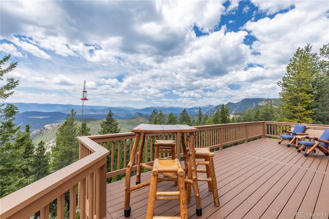 31320 Timothys Trl, Conifer, CO 80433 - photo 8