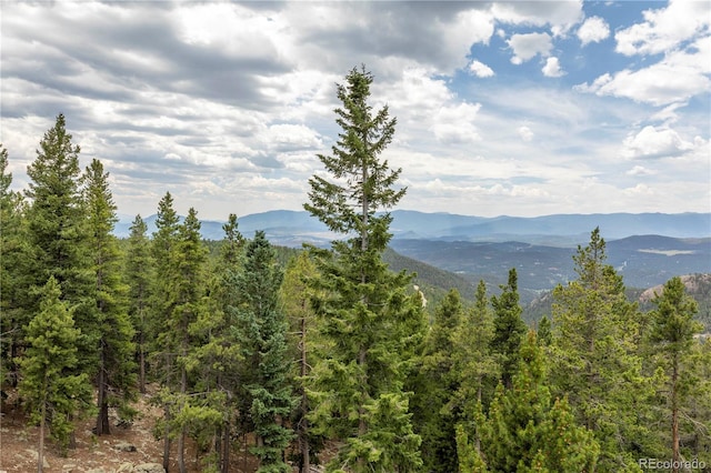 31320 Timothys Trl, Conifer, CO 80433 - photo 38