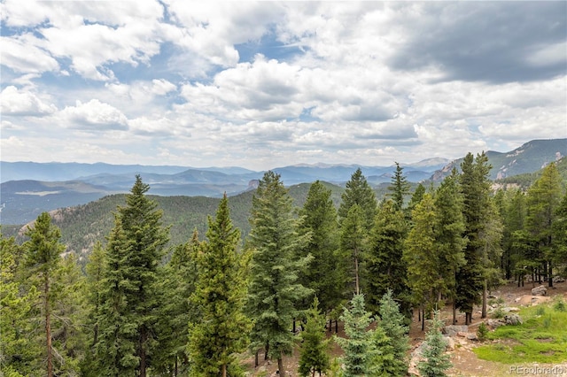 31320 Timothys Trl, Conifer, CO 80433 - photo 39