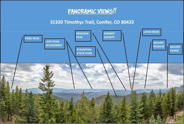 31320 Timothys Trl, Conifer, CO 80433 - photo 40