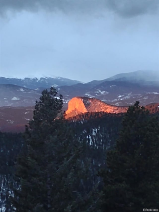 31320 Timothys Trl, Conifer, CO 80433 - photo 43