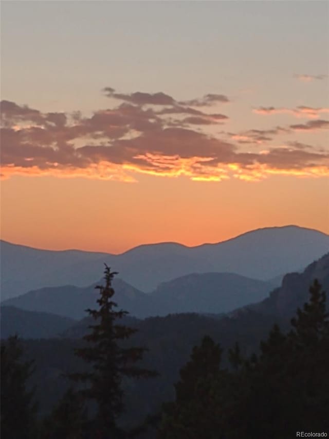 31320 Timothys Trl, Conifer, CO 80433 - photo 45