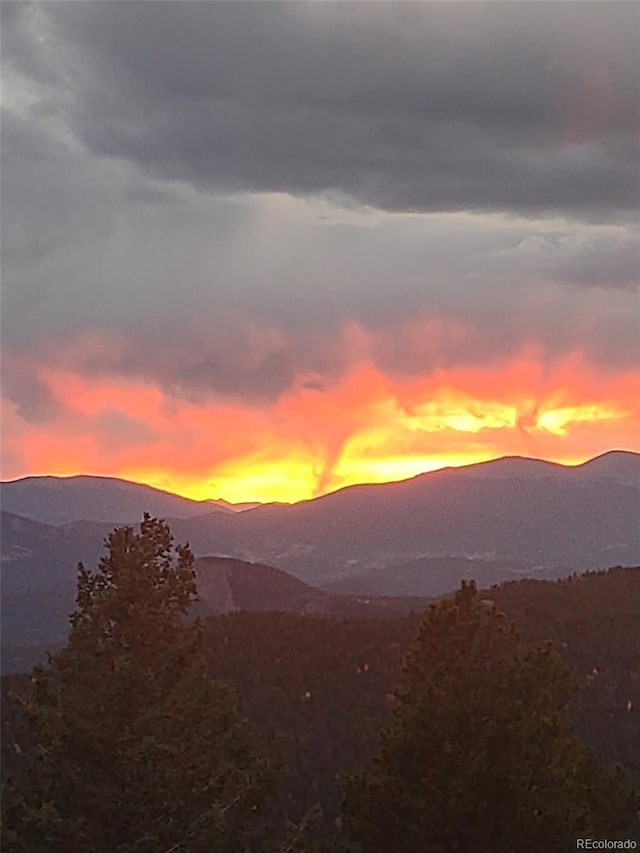 31320 Timothys Trl, Conifer, CO 80433 - photo 46