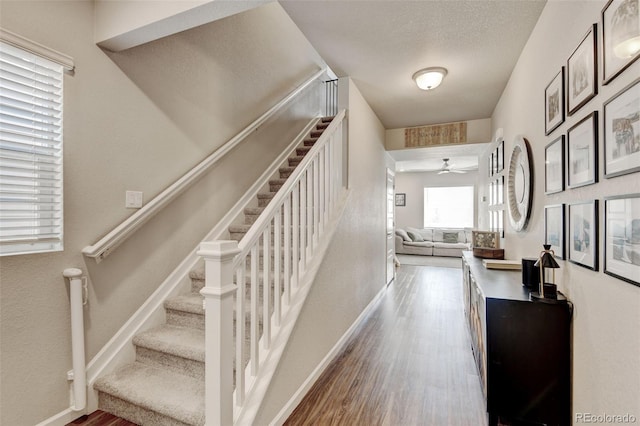 1855 Villageview Ln, Castle Rock, CO 80104 - photo 4