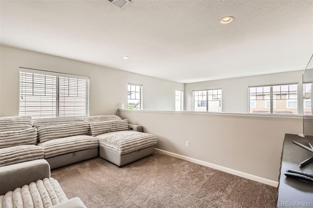 12125 Helena St, Brighton, CO 80603 - photo 29