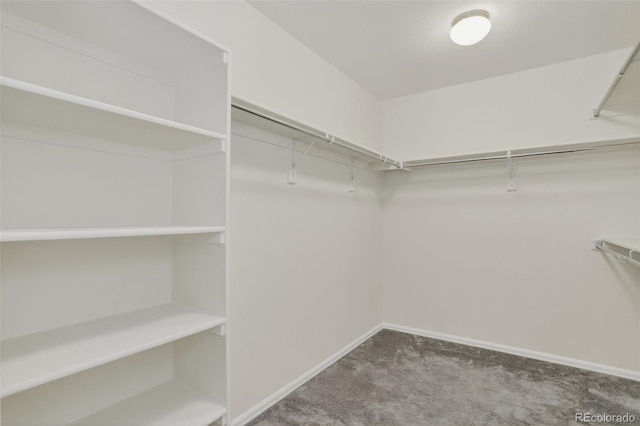 1003 S Fultondale Ct, Aurora, CO 80018 - photo 34