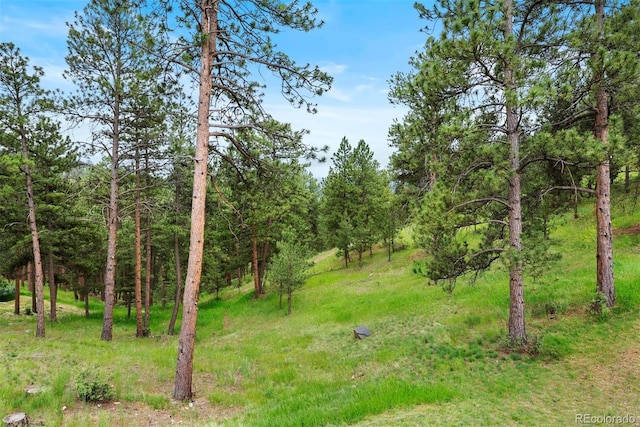 2164 Foothills Dr S, Golden, CO 80401 - photo 19