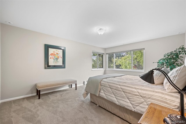 bedroom featuring carpet