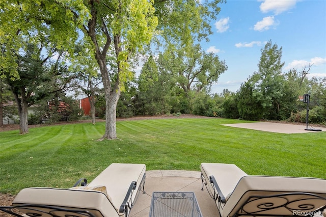 view of yard featuring a patio area