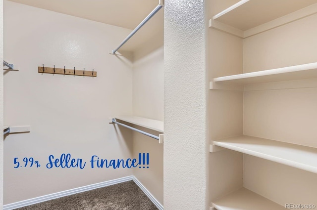 spacious closet featuring carpet floors