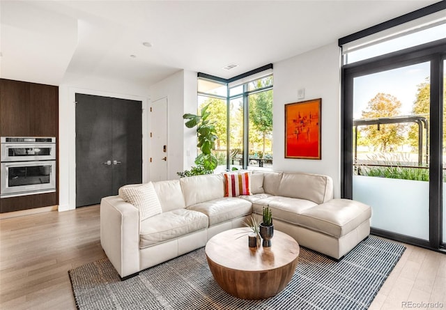 living room with light hardwood / wood-style floors