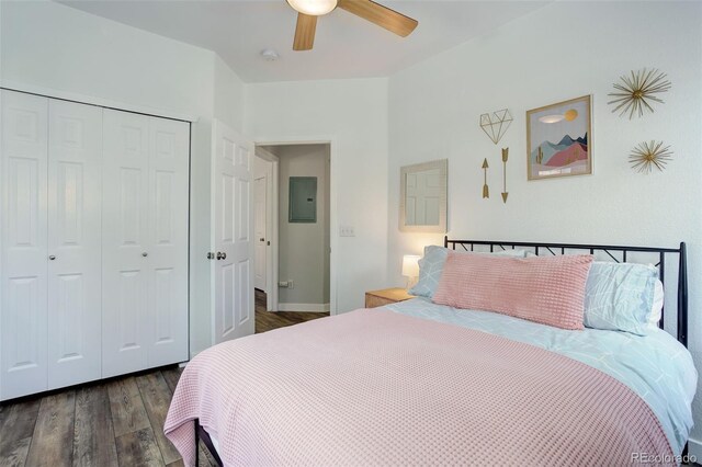 bedroom featuring dark wood-type flooring, ceiling fan, electric panel, and a closet